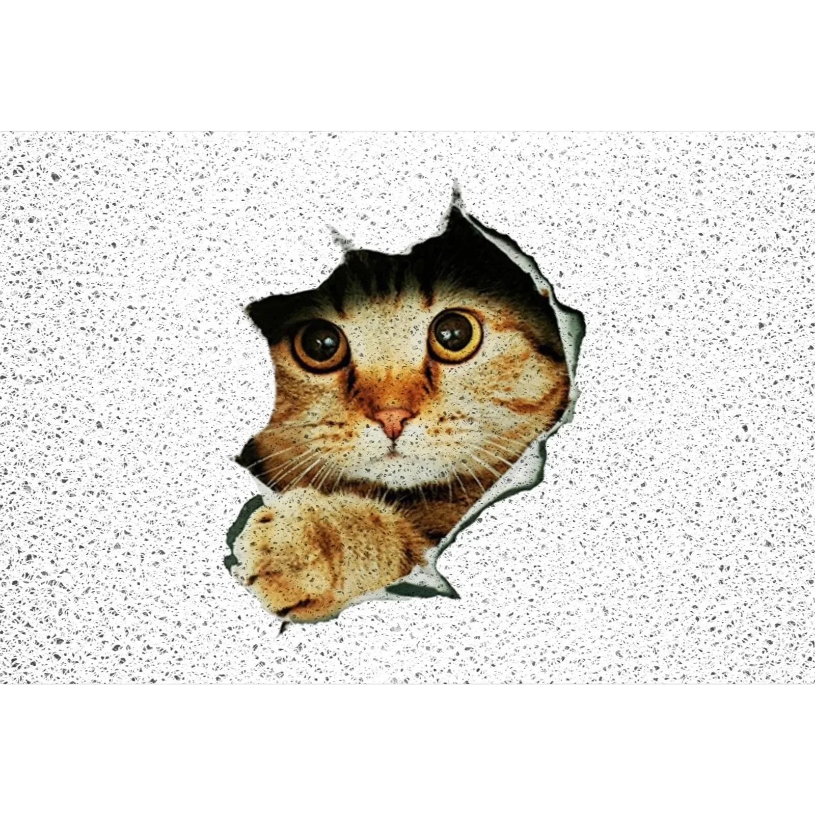 40x60cm Carton Animal Cat & Dog Welcome Door Entrance Mat Remove Dust & Water Carpet for Indoor & Outdoor