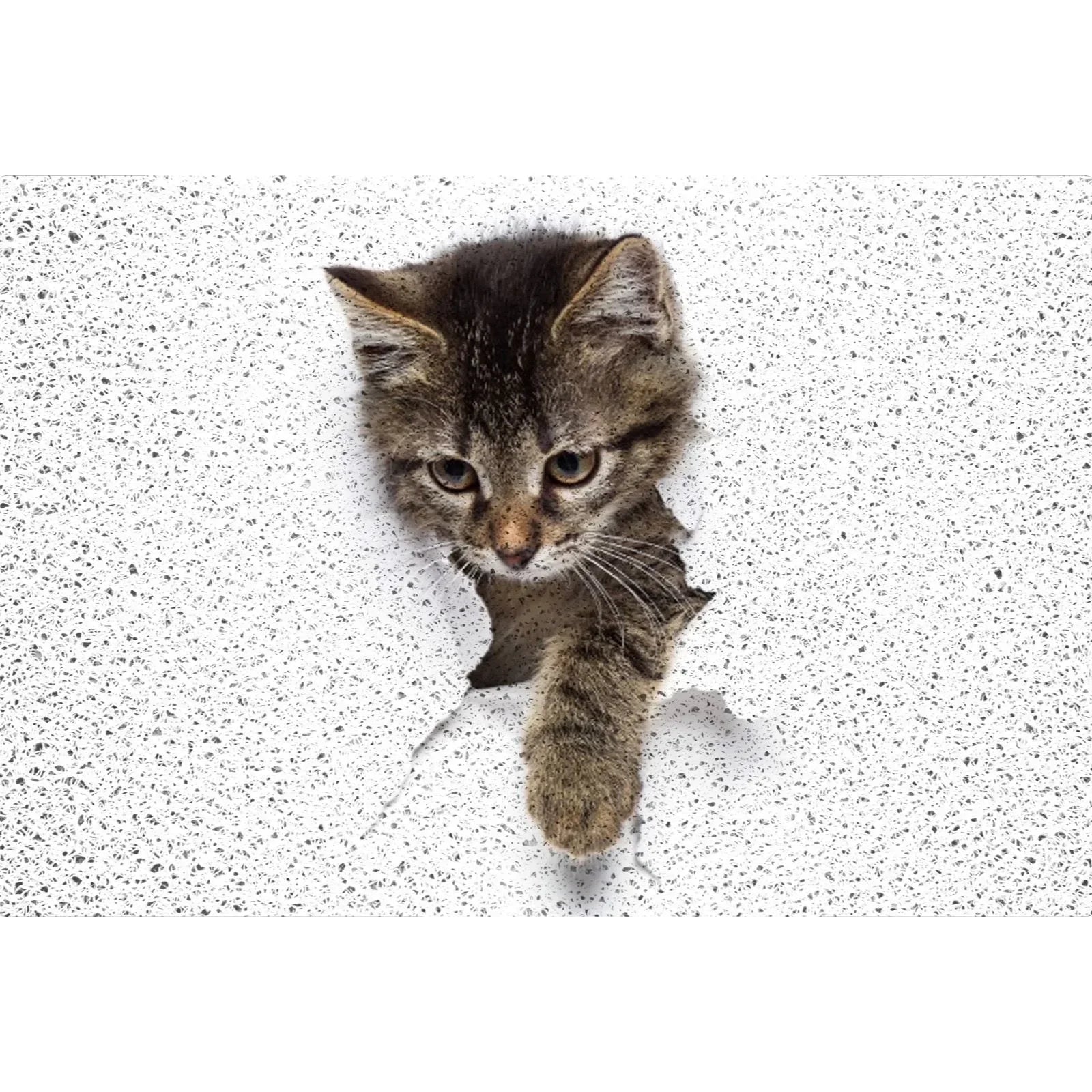 40x60cm Carton Animal Cat & Dog Welcome Door Entrance Mat Remove Dust & Water Carpet for Indoor & Outdoor