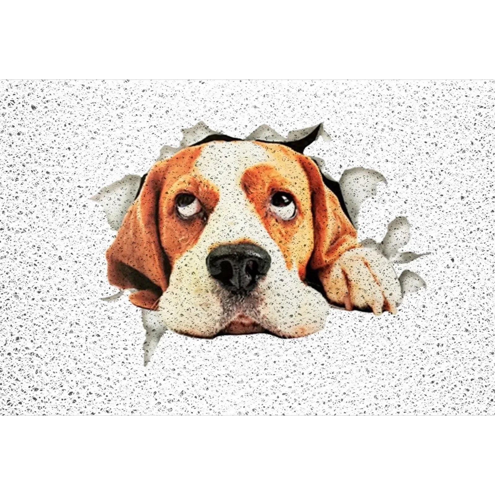 40x60cm Carton Animal Cat & Dog Welcome Door Entrance Mat Remove Dust & Water Carpet for Indoor & Outdoor