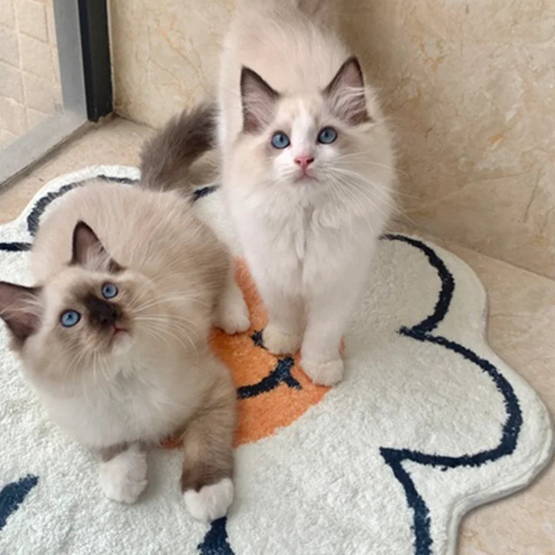 Nordic Flower Rug Ins Egg Sunflower Carpet for Bedroom Living Room Cute Plush Floor Mat Simple Round Bedside Decor Area Rugs