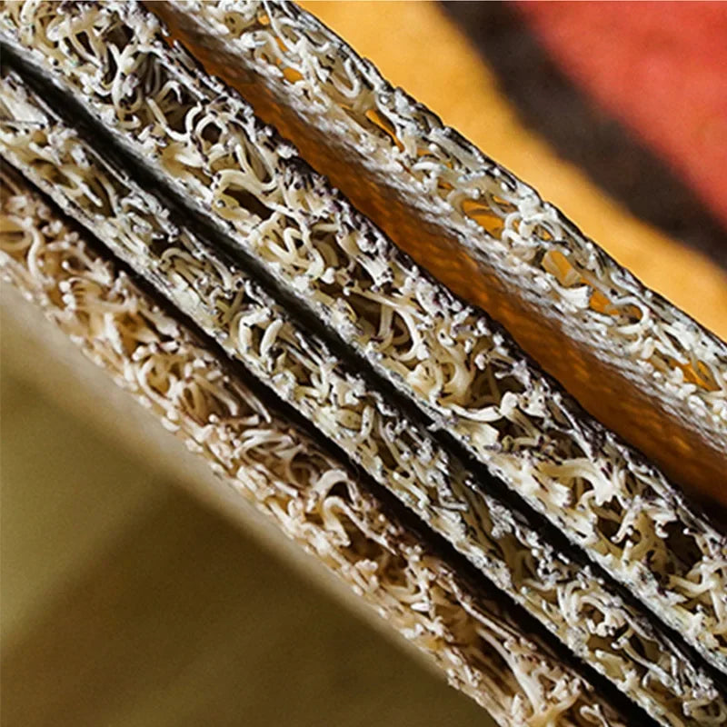 Cartoon Welcome Entrance Doormat Carpet Kitchen Corridor Non-slip Cat Dog Pet Floor Mat Suitable for Home Bathroom Living Room