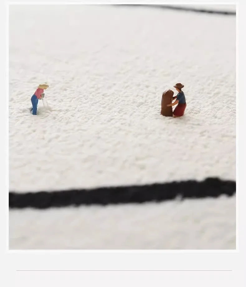 VIKAMA Ins Style Black And White Imitation Cashmere Carpet Comfort Insulation Porch Entry Carpet Bathroom Door Carpet Home Decor